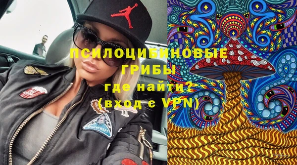 гидропоника Медногорск