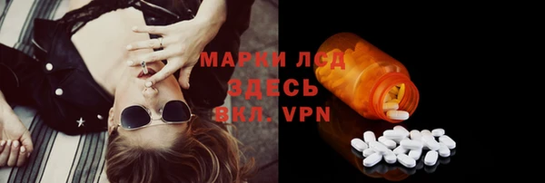 амф Магас