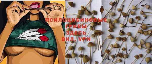 кокс Мегион